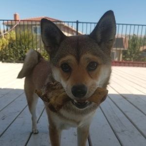 Meet your Posher, Nicholas